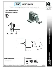 bk-resources-bkspfv-sgs-g-foot-valve-specsheet-2510212phwzp.pdf