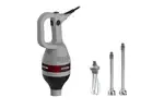 Axis AX-VIB750, Immersion Blender