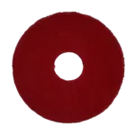 Bissell Big Green Commercial 437.055BG, Floor Machine Pads