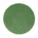 Bissell Big Green Commercial 437.056BG, Floor Machine Pads