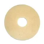 Bissell Big Green Commercial , 437.058BG, Floor Machine Pads