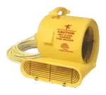 Bissell Big Green Commercial AM10D, Floor Dryer