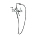 T&S Brass B-0167-01, Faucet, with Spray Hose