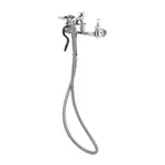 T&S Brass B-0167, Faucet, with Spray Hose
