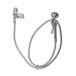 T&S Brass B-0169-01, Faucet, with Spray Hose